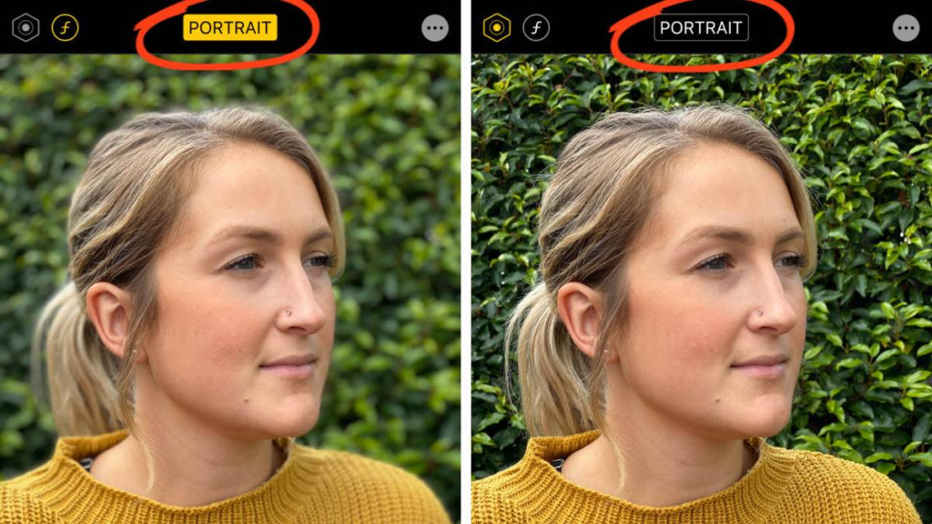 iphone Daha Kaliteli Fotograf vi