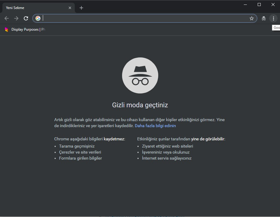 Google Chrome PC Program