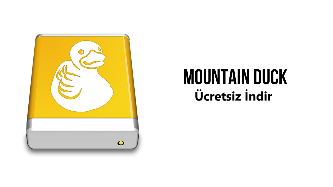 Mountain Duck