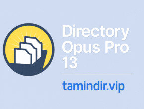 Directory Opus Indir