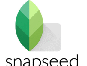 Snapseed Apk İndir